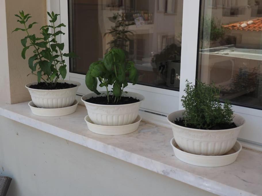 A Stone'S Throw From Everything Paphos Exterior photo